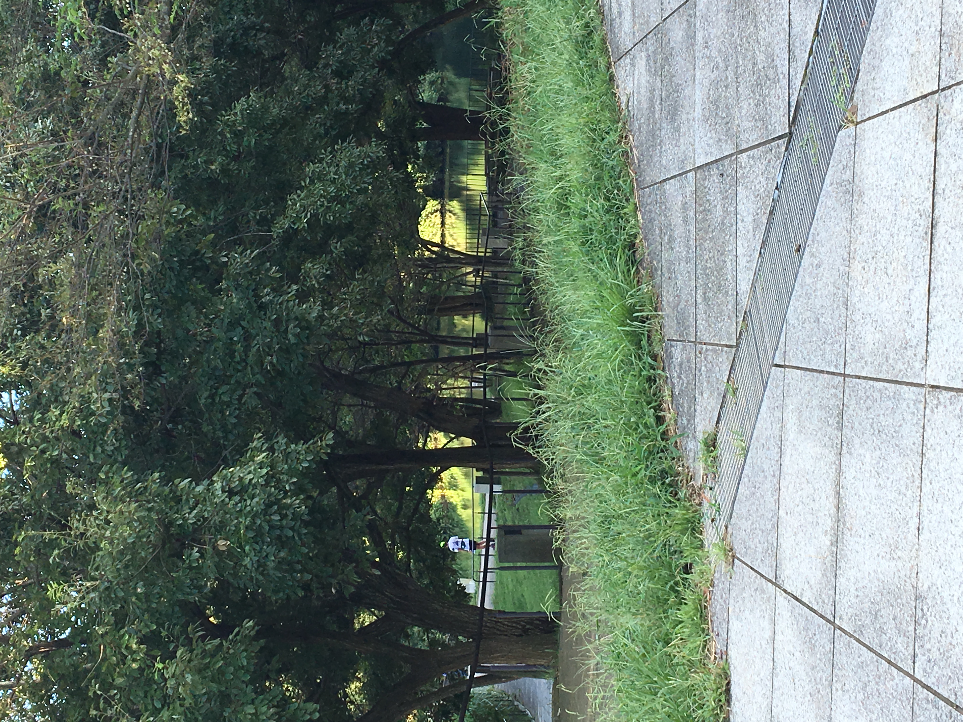 カラオケ 歌いやすい曲と世間で言われてる曲 Mind You