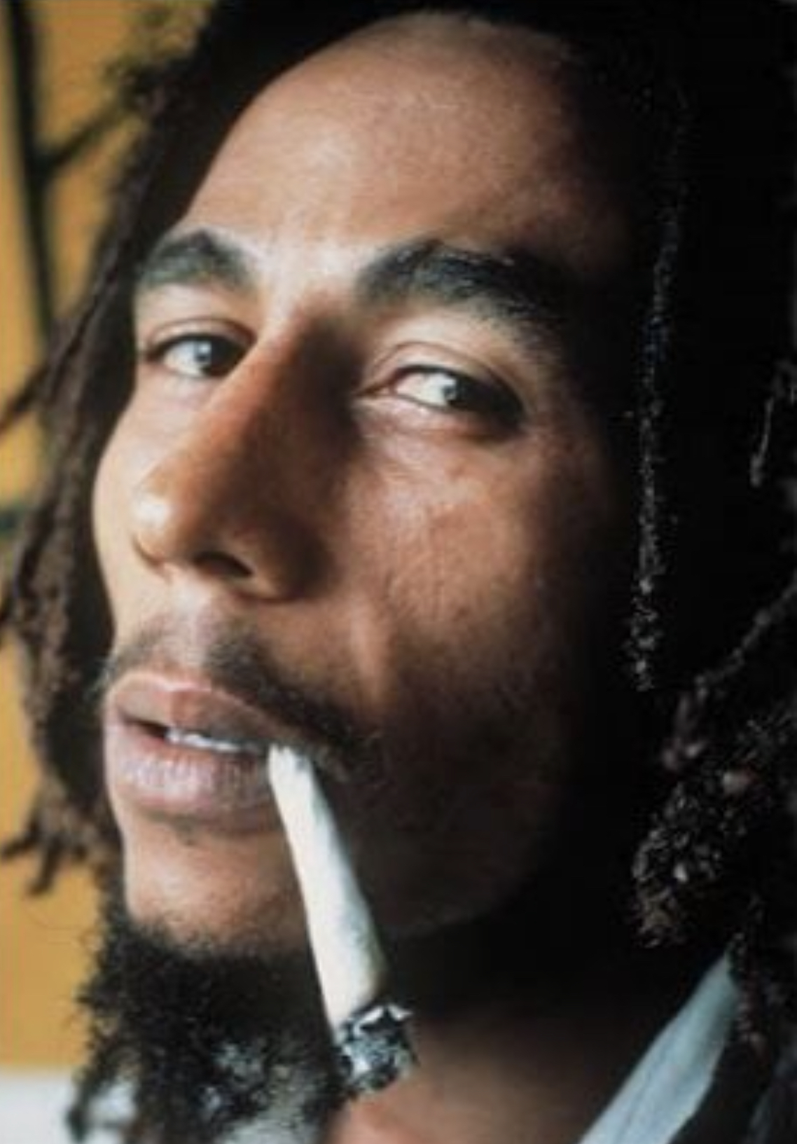 One Love People Get Ready Bob Marley And The Wailers 和訳 2ヴァージョンで解説 コロナ禍で歌われるべき歌 Fight For Harmagedōn Mind You